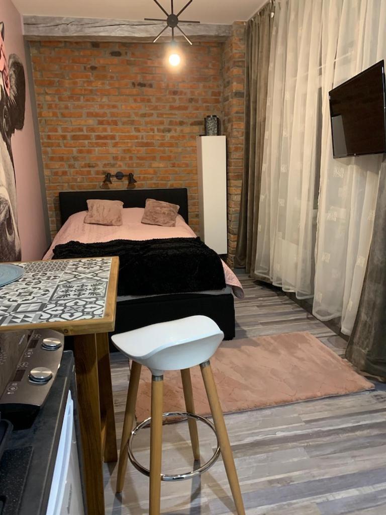 Siedlisko Kepina Zdroj Apartment Ostrow  Luaran gambar