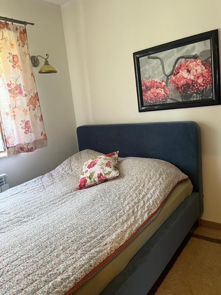 Siedlisko Kepina Zdroj Apartment Ostrow  Luaran gambar