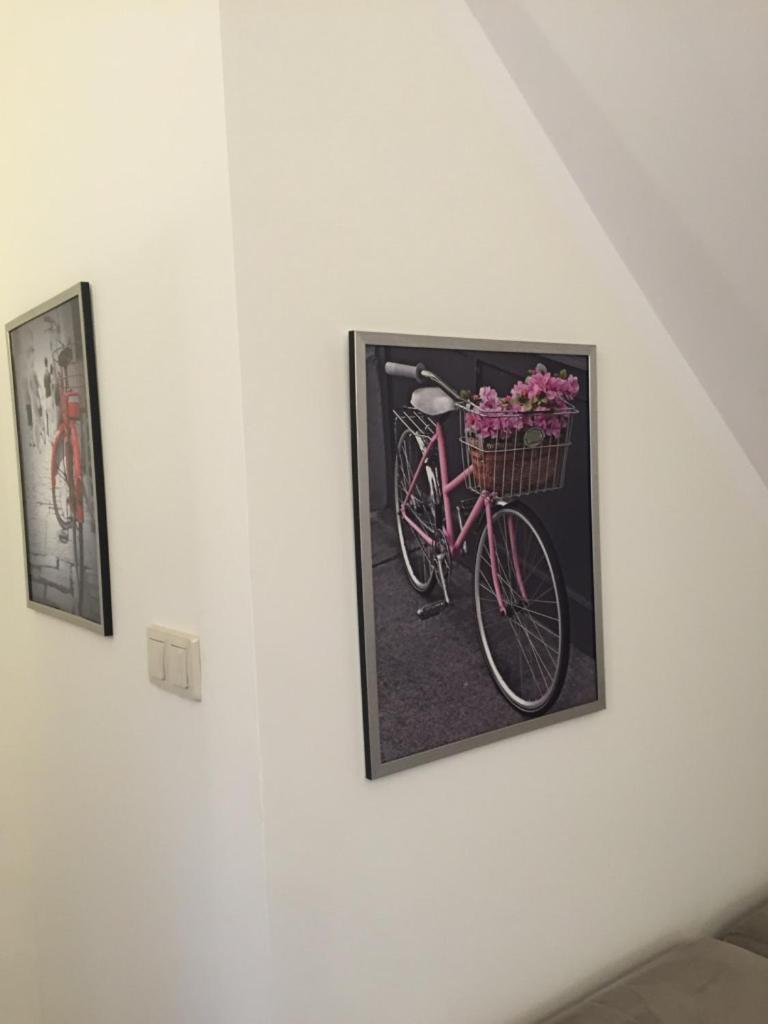 Siedlisko Kepina Zdroj Apartment Ostrow  Luaran gambar