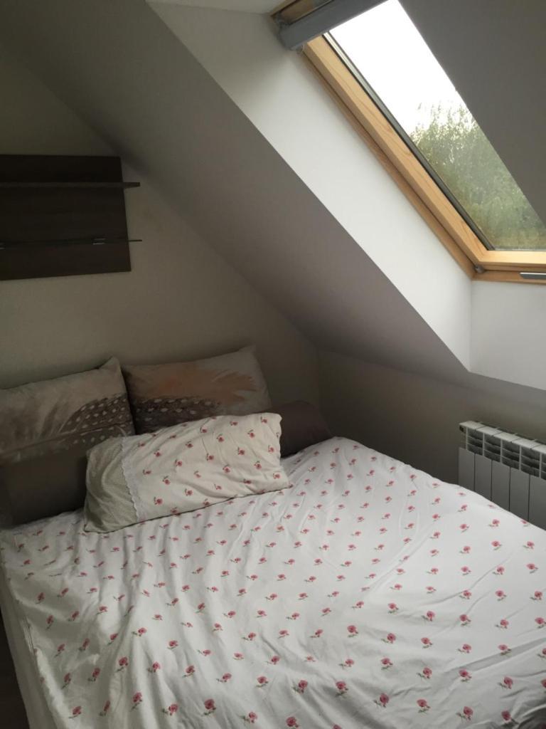 Siedlisko Kepina Zdroj Apartment Ostrow  Luaran gambar