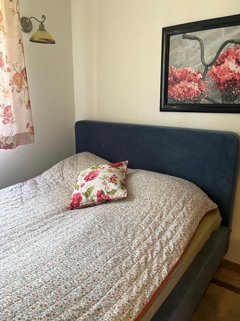 Siedlisko Kepina Zdroj Apartment Ostrow  Luaran gambar