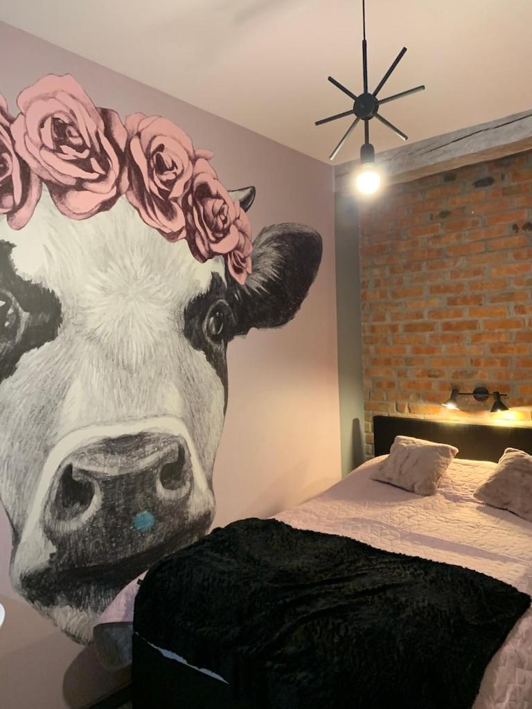 Siedlisko Kepina Zdroj Apartment Ostrow  Luaran gambar